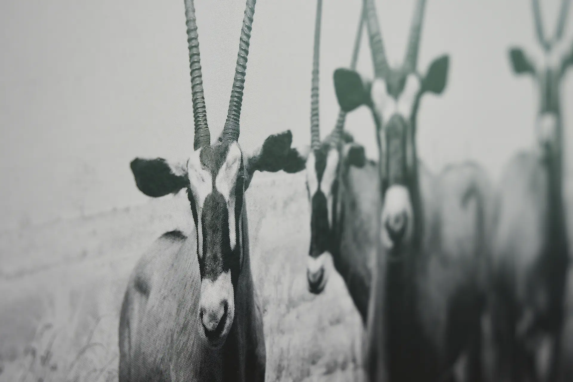 IMPRINTED ―杉本博司 ポスター展｜展示会情報｜TAKEO MIHONCHO ONLINE